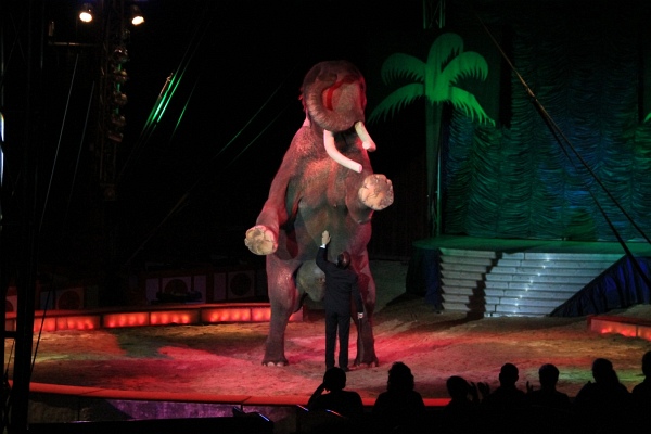 Krone2011   127.jpg